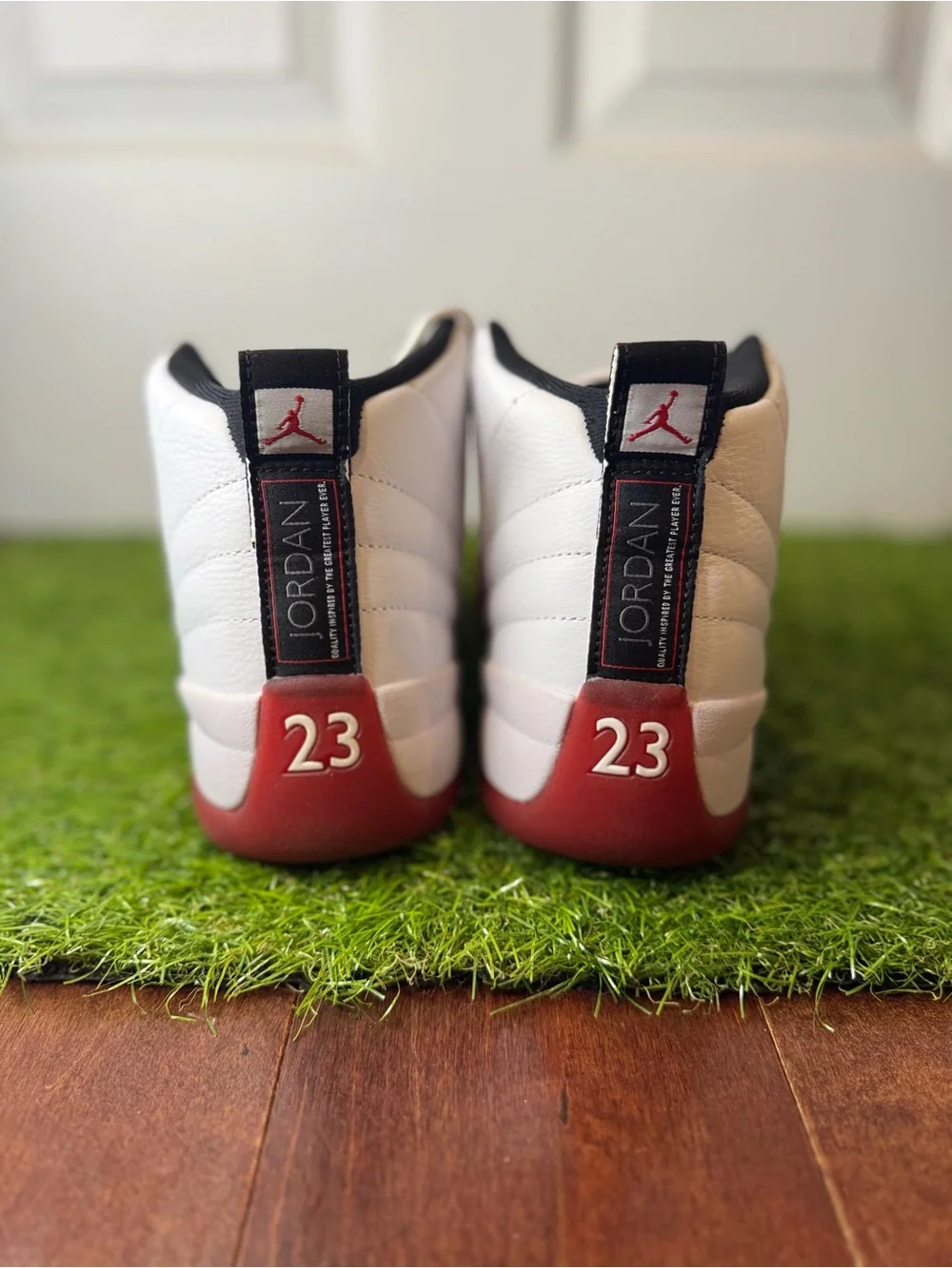 Jordan 12 cherry